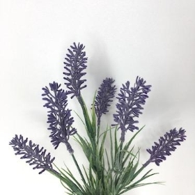 Purple Lavender Bush 32cm