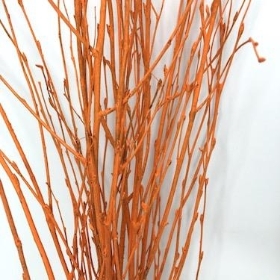 Orange Painted Birch
