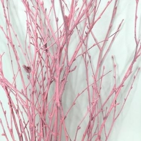 Pink Painted Birch 