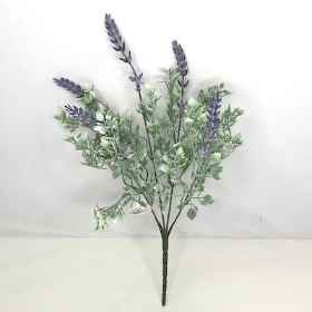 Ivory Lavender Bush 30cm