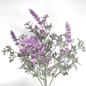 Lilac Lavender Bush 30cm