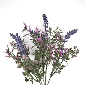 Purple Lavender Bush 30cm