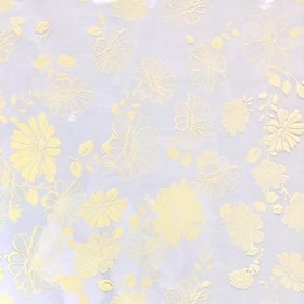 Cream Katie Cellophane 100m