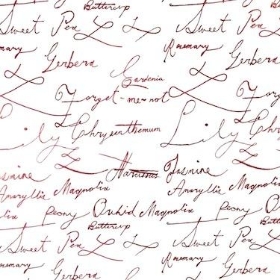 Burgundy Scribble Cellophane 100m