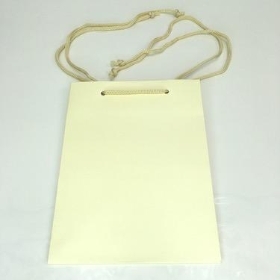 Ivory Hand Tie Bags x 10 