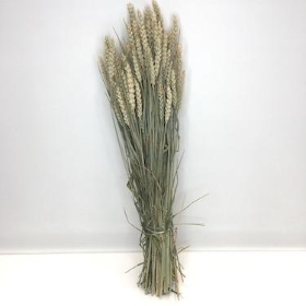 Dried Wheat 250g