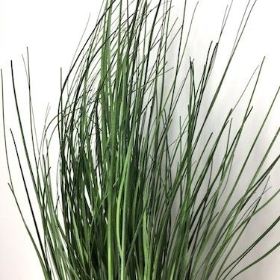 Bear Grass Bush 68cm