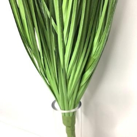 Bear Grass Bush 68cm