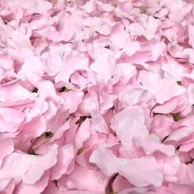 Pink Hydrangea Flower Wall 60 x 40cm