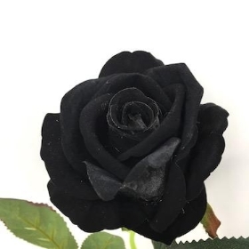 Black Velvet Rose 52cm