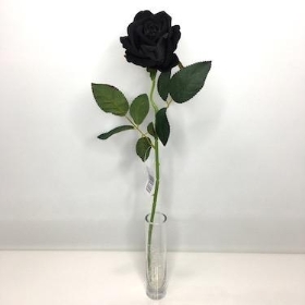 Black Velvet Rose 52cm