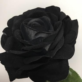 Black Velvet Touch Open Rose 74cm