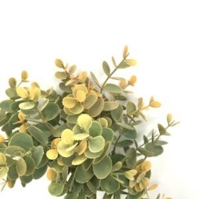 Orange Eucalyptus Bundle 36cm