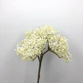 Ivory Elderberry 54cm