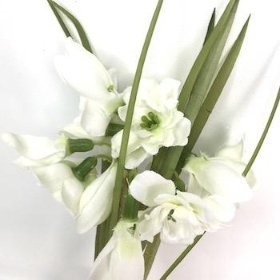 Snowdrop Spring Bundle 19cm