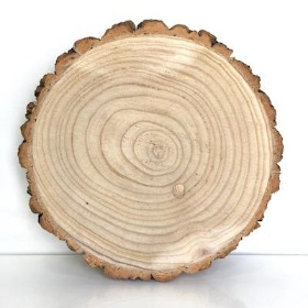 Wood Slice 26cm to 30cm
