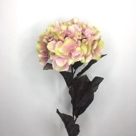 Isla Hydrangea 72cm