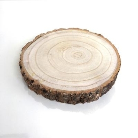 Wood Slice 20cm to 24cm