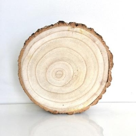 Wood Slice 20cm to 24cm