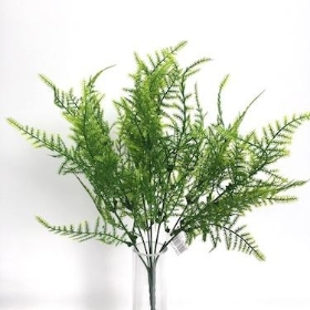 48 x Asparagus Fern Bush 34cm