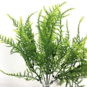 48 x Asparagus Fern Bush 34cm