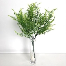 Asparagus Fern Bush 34cm