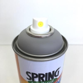 Mercury Grey Flower Spray Paint