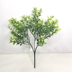 Frosted Tea Leaf Bush 32cm