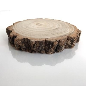 Wood Slice 11cm to 13cm