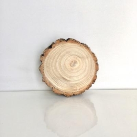 Wood Slice 11cm to 13cm