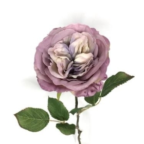 Lilac Mia Rose 56cm