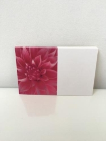 Small Florist Cards Pink Dahlia