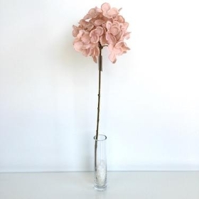 Pink Romance Hydrangea 50cm