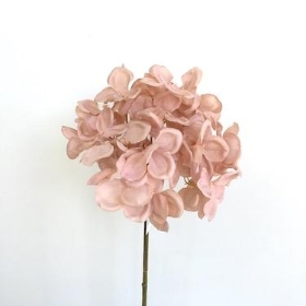 Pink Romance Hydrangea 50cm