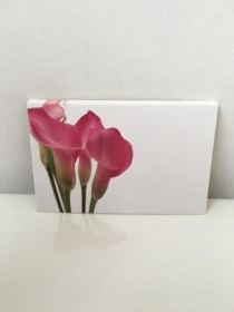 Florist Cards Pink Calla