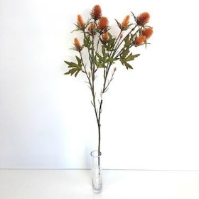 Orange Thistle 68cm