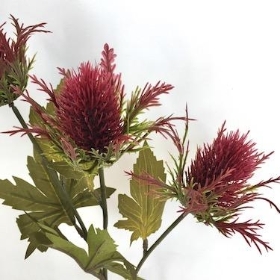 Burgundy Teasel 67cm