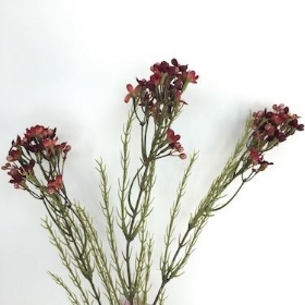 Burgundy Waxflower 79cm
