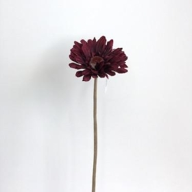 Burgundy Gerbera 53cm