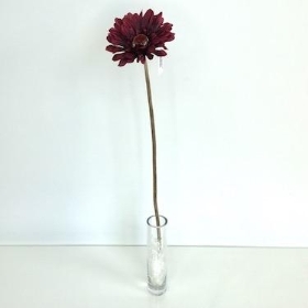 Burgundy Gerbera 53cm