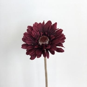 Burgundy Gerbera 53cm