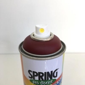 Burgundy Flower Spray Paint 400ml