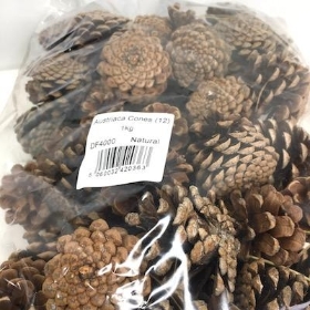 Pine Cones 1kg