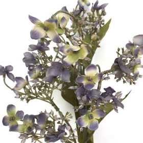 Grey Wild Hydrangea 62cm