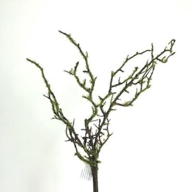 Moss Branch 56cm