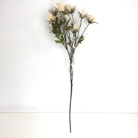 Cream Thistle 68cm