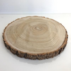 Wood Slice 33cm to 37cm