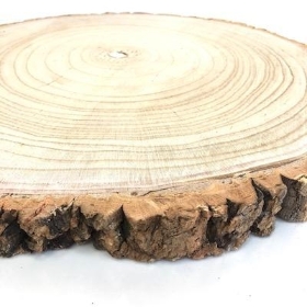 Wood Slice 43cm to 47cm