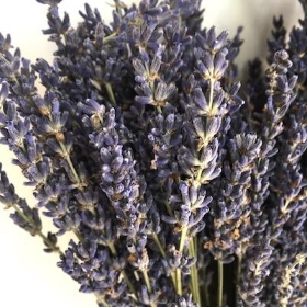 Dried Lavender Bunch 40cm