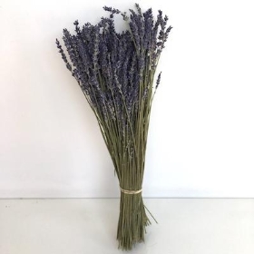 Dried Lavender Bunch 40cm